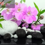 Spa concept: orchids, bamboo and stones